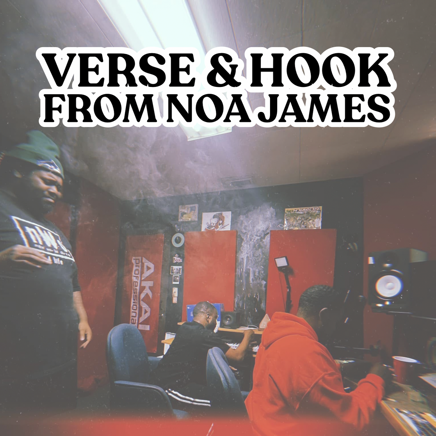 Verse and Hook Package from Noa James